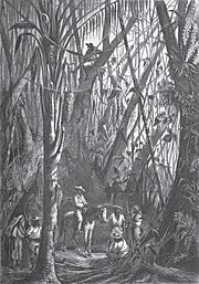 Archivo:1872-02-08, La Ilustración Española y Americana, Isla de Cuba, Grupo de insurrectos en la manigua