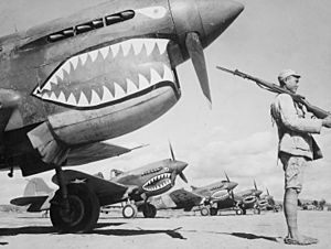 A Chinese soldier guards a line of American P-40 fighter planes, painted with the shark-face emblem of the Flying... - NARA - 535531.jpg