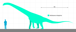 Archivo:Aeolosaurus Scale