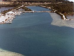 Aerial photographs of Florida MM00034047x (6803766969).jpg