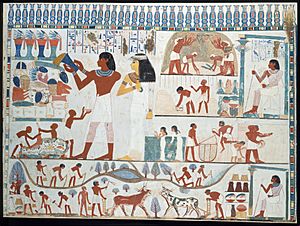 Archivo:Agricultural Scenes, Tomb of Nakht MET DT306954