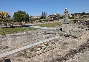 Archivo:Almeida de Sayago, caño