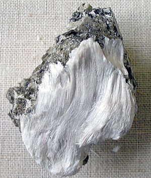 Archivo:Asbestos with muscovite