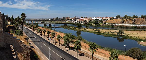 Archivo:Badajoz, Guadiana River from the Alcazaba 85p-2h