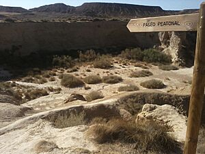 Archivo:Bardenas-Barranco Grande