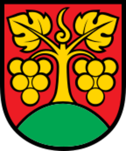 CHE Bühl COA