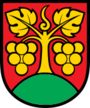 CHE Bühl COA.svg
