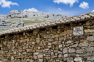 Archivo:Calle-corta-amaya-burgos