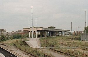 Archivo:Cardiff Riverside railway station