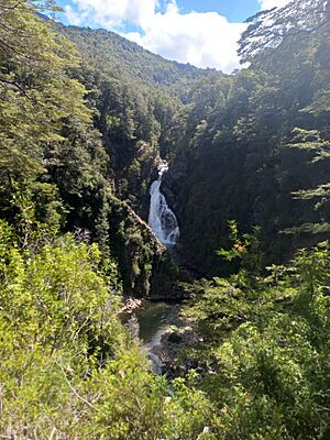 Archivo:Cascada del Chachín
