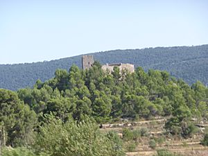 Archivo:Castell de Barxell (Alcoi) - Vista general - 4