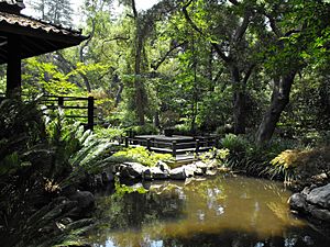 Archivo:Descansogardens1