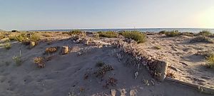 Archivo:Dunas engullendo barrera