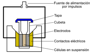 Archivo:Electroporation Diagram-es