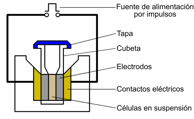 Electroporation Diagram-es