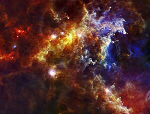 Archivo:Embryonic Stars in the Rosette Nebula