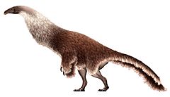 Archivo:Enigmosaurus Restoration