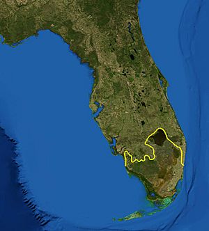 Archivo:Everglades ecoregion
