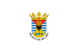 Flag of Biobío Region, Chile