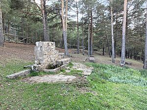 Archivo:Fuente Virgen del Carmen-2