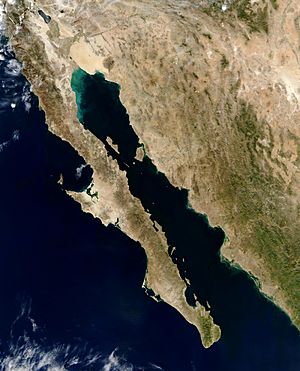 Archivo:Gulf of California