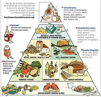 Archivo:Harvard food pyramid es