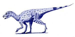 Archivo:Heterodontosaurus
