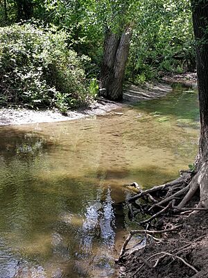 Archivo:IMG 20180509 123010 Río Aulencia en el curso medio del río Guadarrama