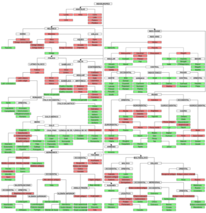 Archivo:IndoEuropeanTree es