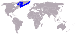 Distribución mundial de la foca de casco