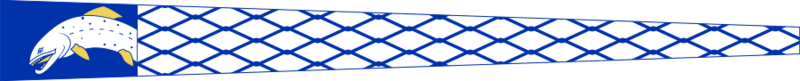 Kymenlaakso.vaakunaviiri