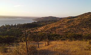 Archivo:Lago Rapel desde los cerros