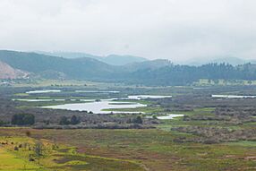 Archivo:Laguna la herrera