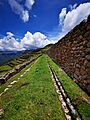 Machucolca54