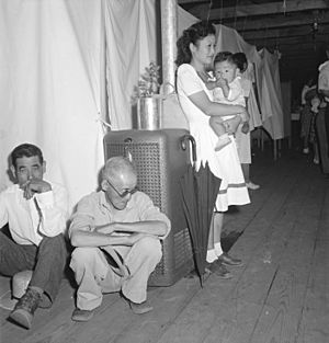 Archivo:Manzanar Relocation Center, Manzanar, California. A typical interior scene in one of the barrack ap . . . - NARA - 538136