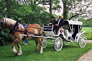 Archivo:Marriage-in-carriage