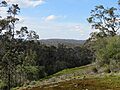 Mokare's Rock 1 Rock Walktrail Shannon NP IX-2015
