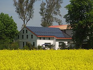 Archivo:Oesterwurth solarhaus hinter raps