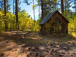 Old cabin, Marlette Lake Trail.jpg