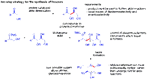 Archivo:Organocatalytic4