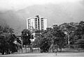 Parque Los Apamates