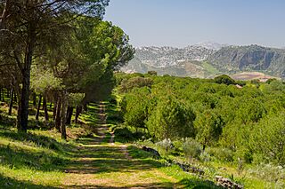 Parque Periurbano Dehesa del Mercadillo (53692761762).jpg