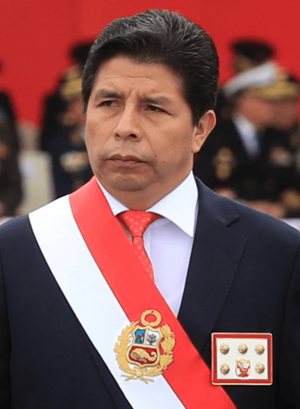 Archivo:Pedro Castillo portrait