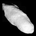 Prometheus 12-26-09a