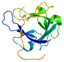 Archivo:Protein FGF19 PDB 1pwa