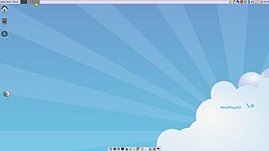 Puppy Linux VoidPup64 22.02.jpg