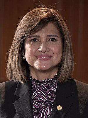 Retrato oficial de vicepresidenta Karin Herrera (cropped 2).jpg