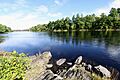 Shad Rips- Inundated by Great Works Dam - panoramio