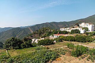Streets of Istan-3103 (51589460498).jpg