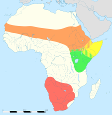 Distribución del avestruz